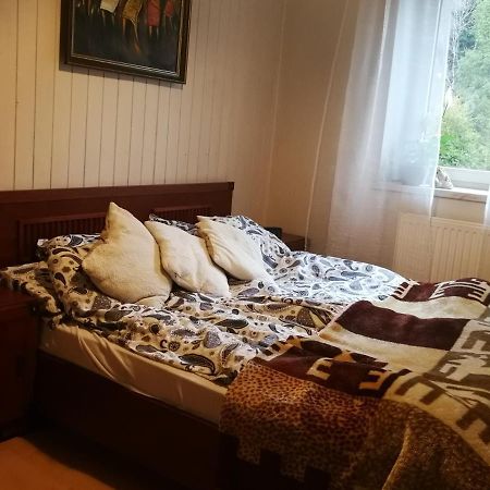 Szczyrk Mountainski Apartament מראה חיצוני תמונה