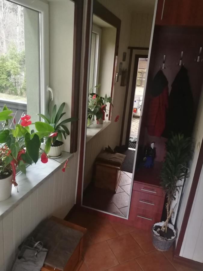 Szczyrk Mountainski Apartament מראה חיצוני תמונה